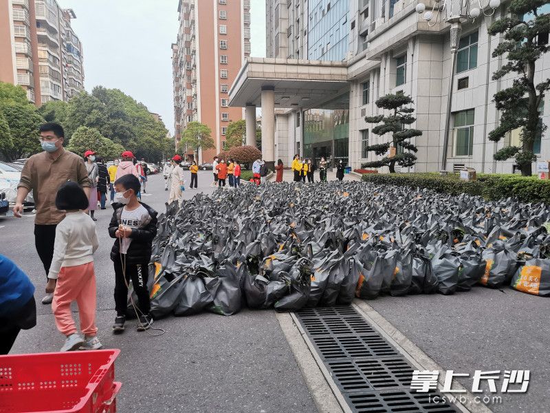 780份蔬菜包送到了湘林小區(qū)院內(nèi)。長沙晚報實習(xí)生 羅楊 攝